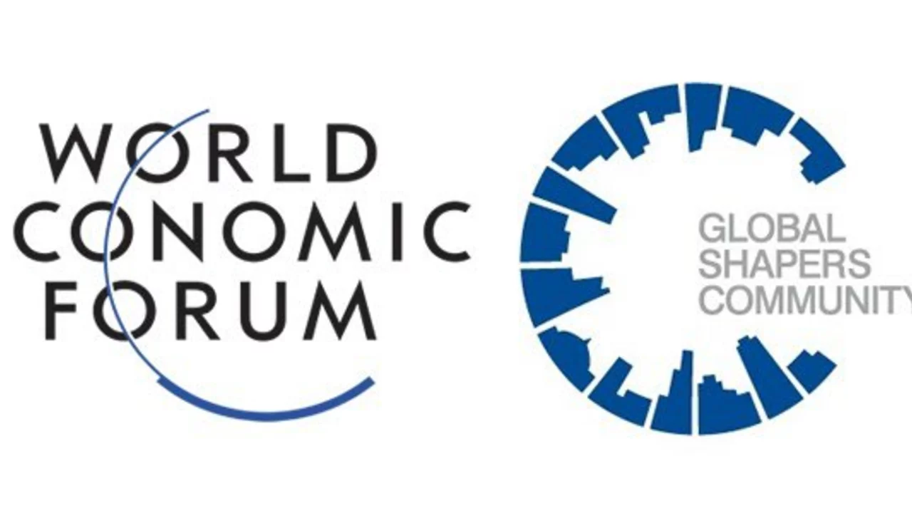 How does the world economic forum function?
